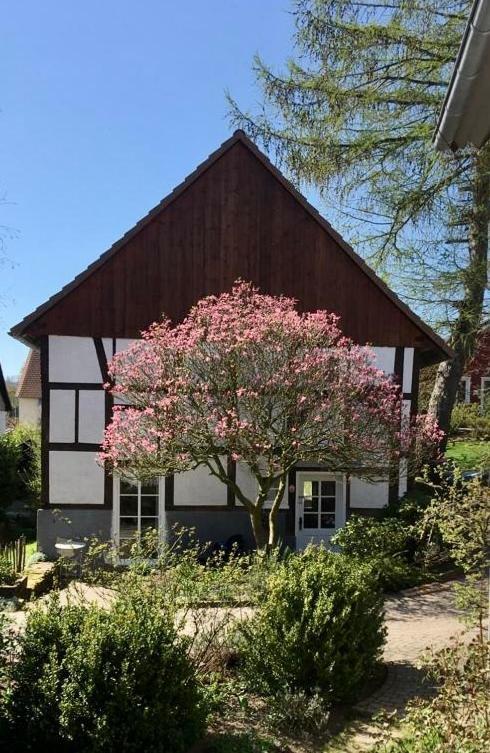 Gemuetliches Ferienhaus Im Extertal/ Lippe Extérieur photo