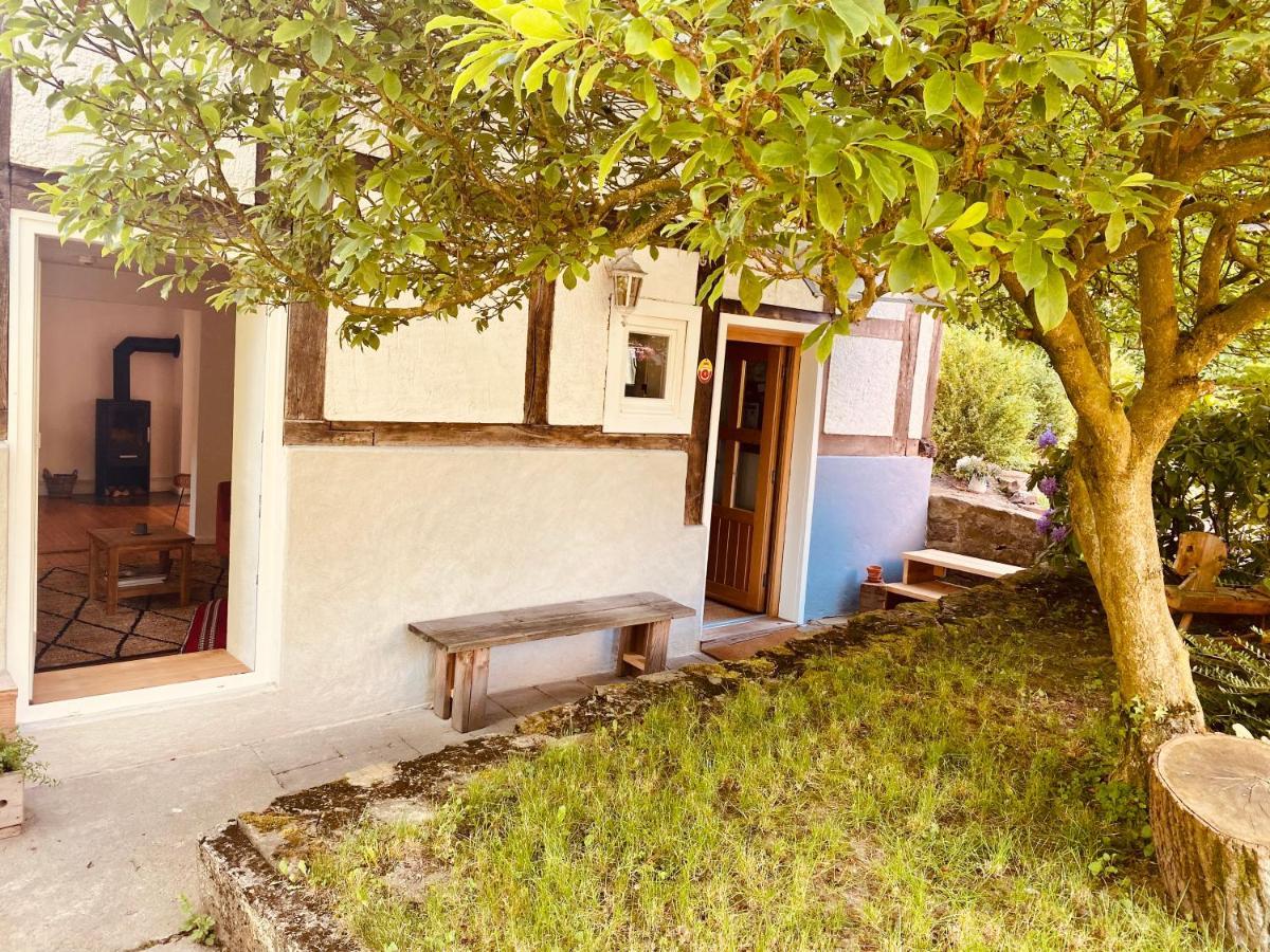 Gemuetliches Ferienhaus Im Extertal/ Lippe Extérieur photo