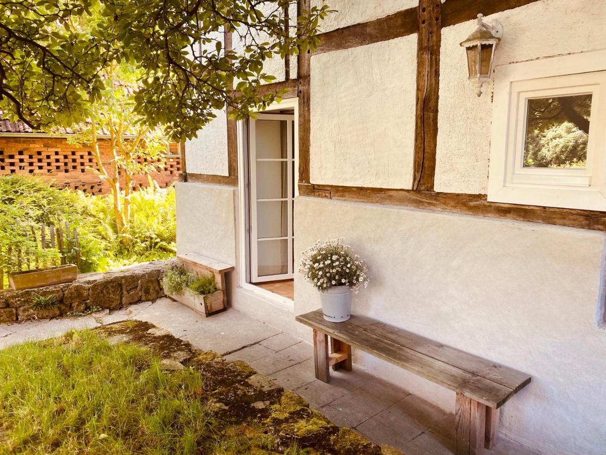 Gemuetliches Ferienhaus Im Extertal/ Lippe Extérieur photo